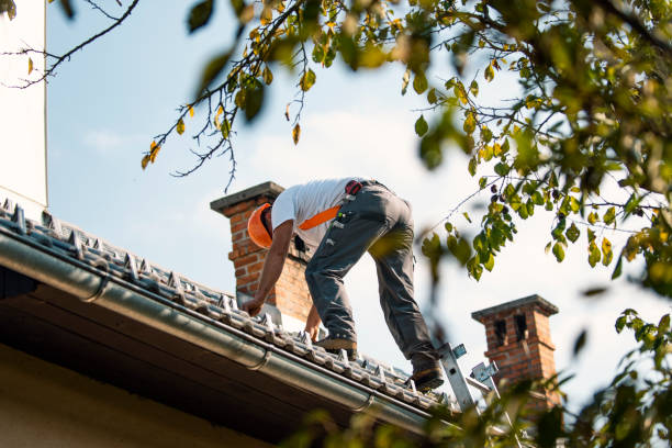 Tile Roofing Contractor in Deltana, AK