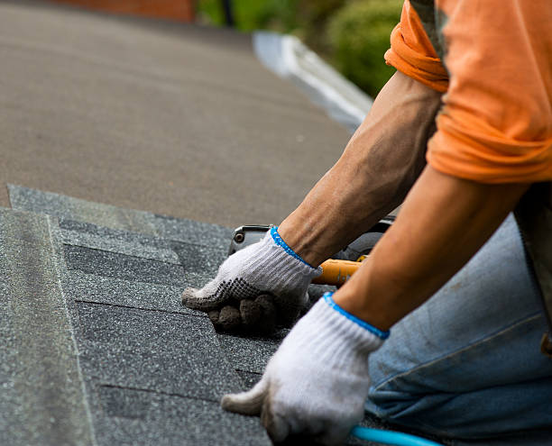 Best Storm Damage Roof Repair  in Deltana, AK