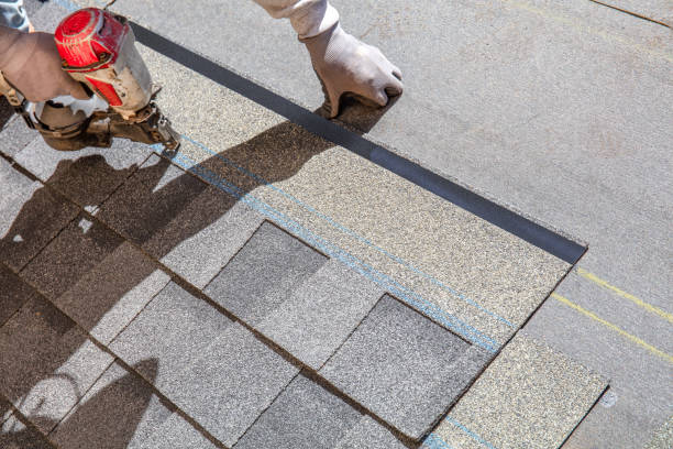 Best Tile Roofing Contractor  in Deltana, AK